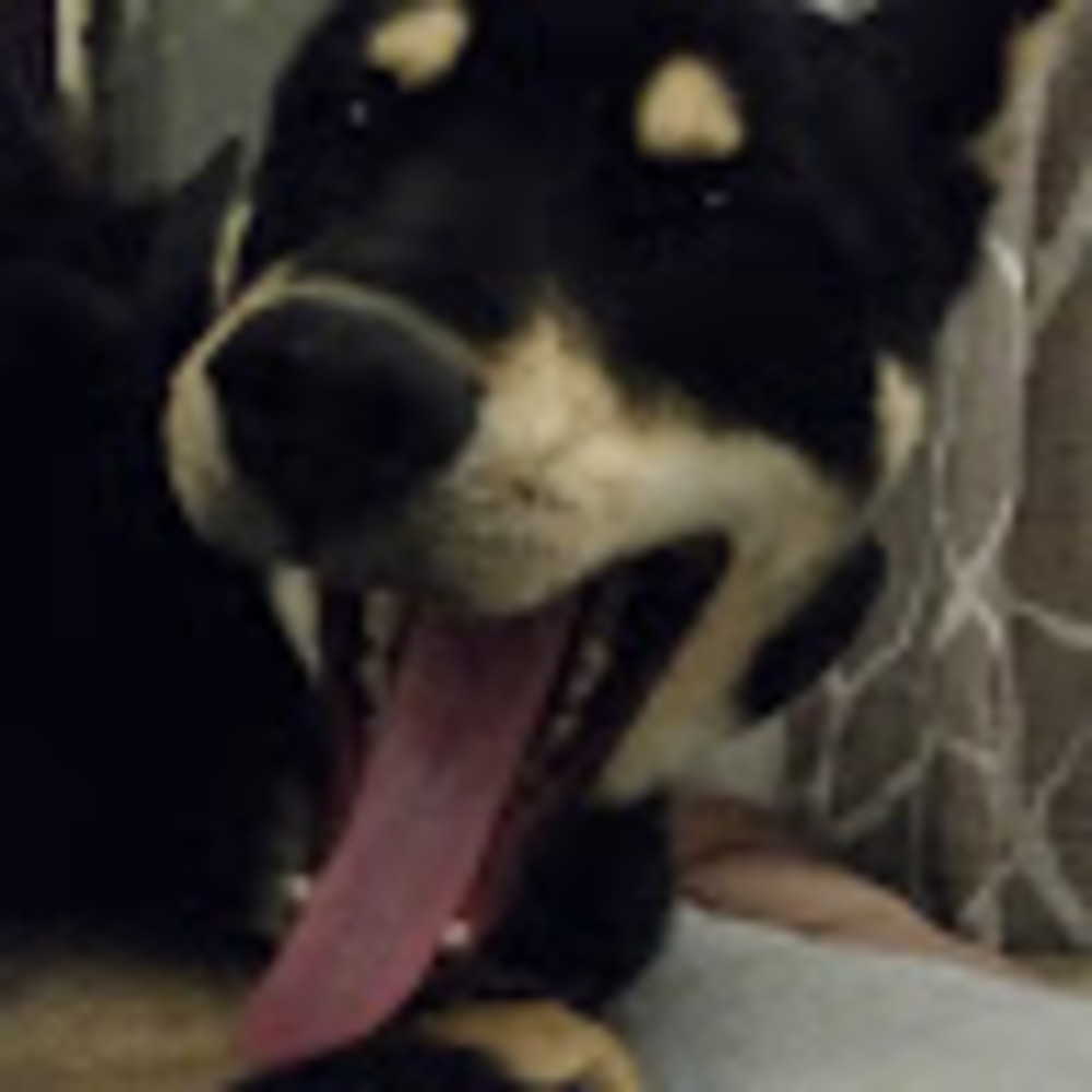 Meet your Posher, Leah